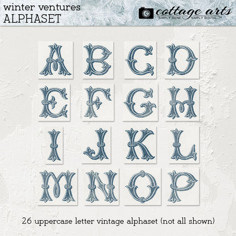 Winter Ventures AlphaSet