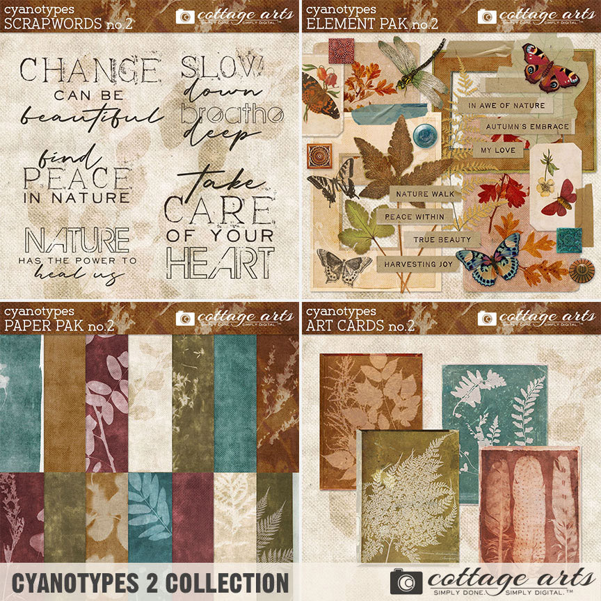 Cyanotypes 2 Collection