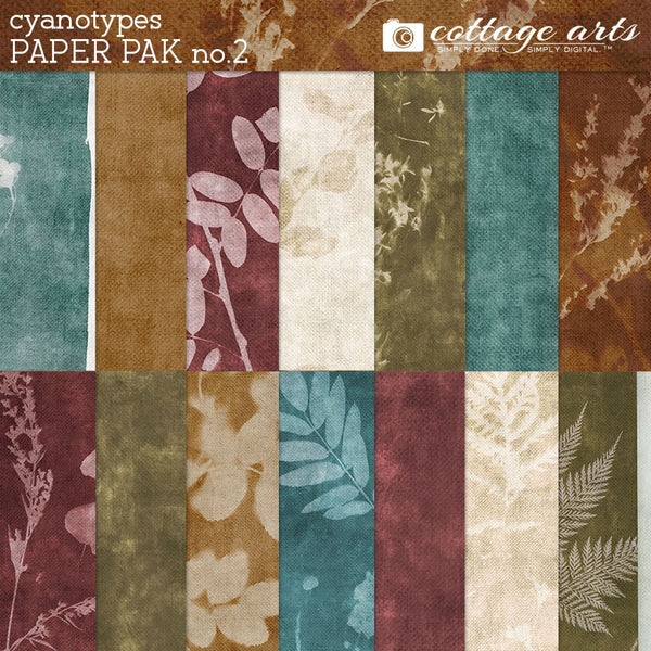 Cyanotypes 2 Collection