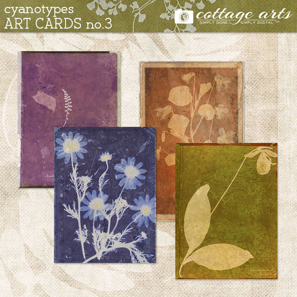Cyanotypes 3 Collection