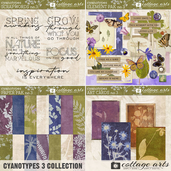 Cyanotypes 3 Collection