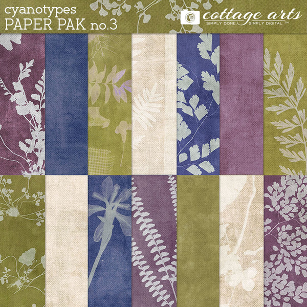 Cyanotypes 3 Collection