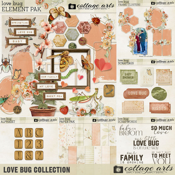 Love Bug Collection
