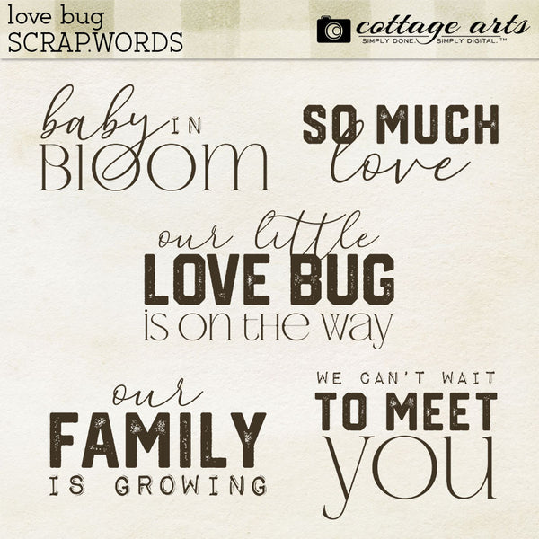 Love Bug Collection