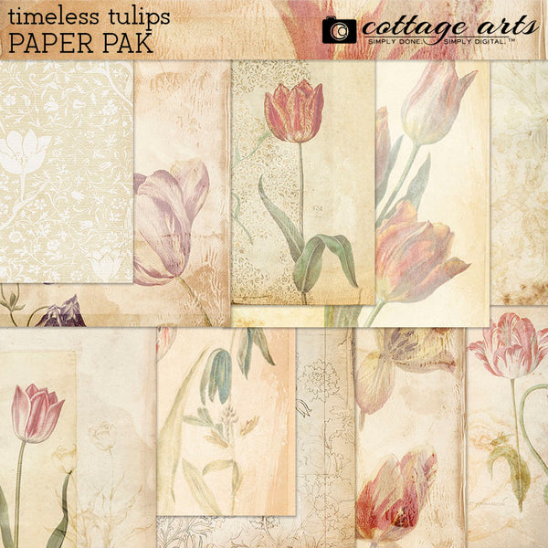 Timeless Tulips Collection
