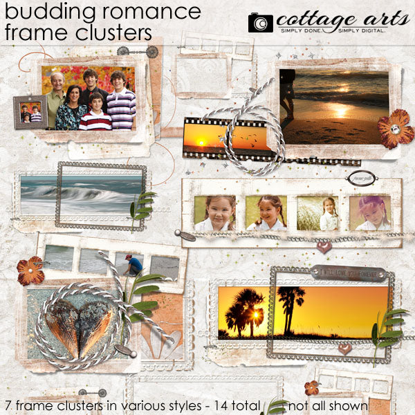 Budding Romance Frame Clusters
