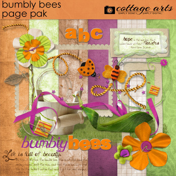 Bumbly Bees Page Pak