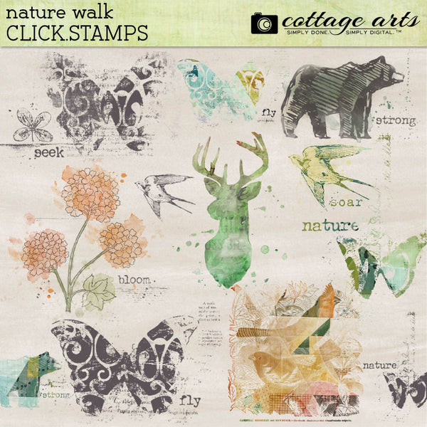 Nature Walk Collection