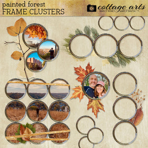 Painted Forest Frame Clusters