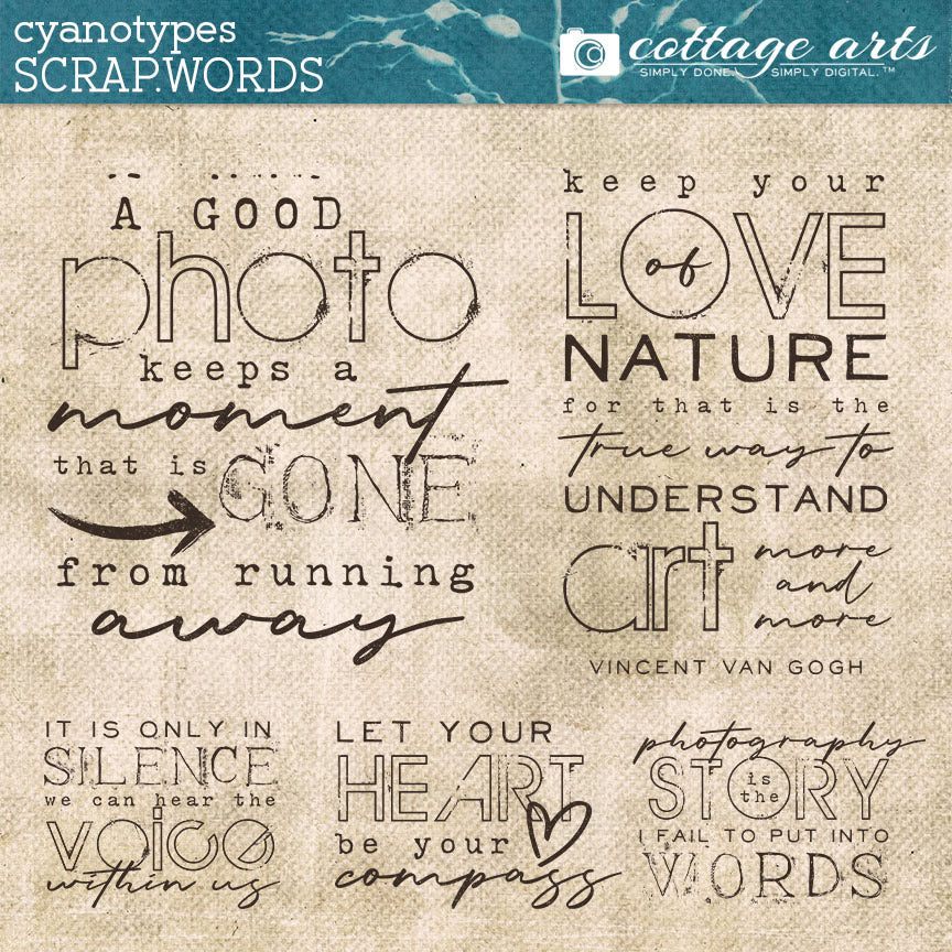 Cyanotypes Scrap.Words