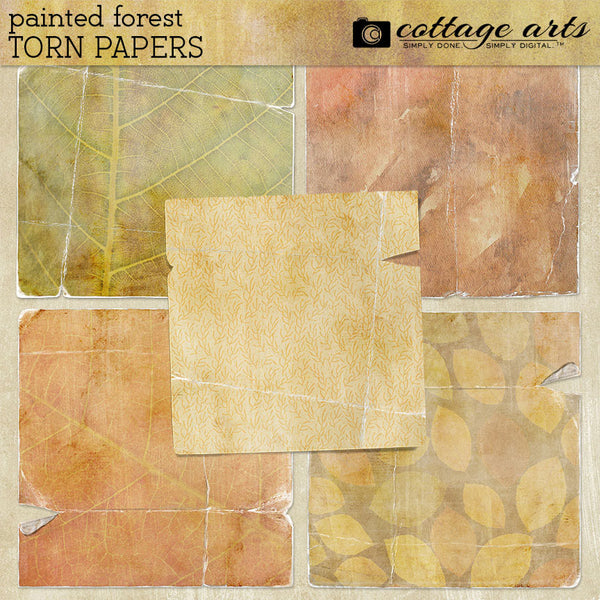 Painted Forest Torn Papers
