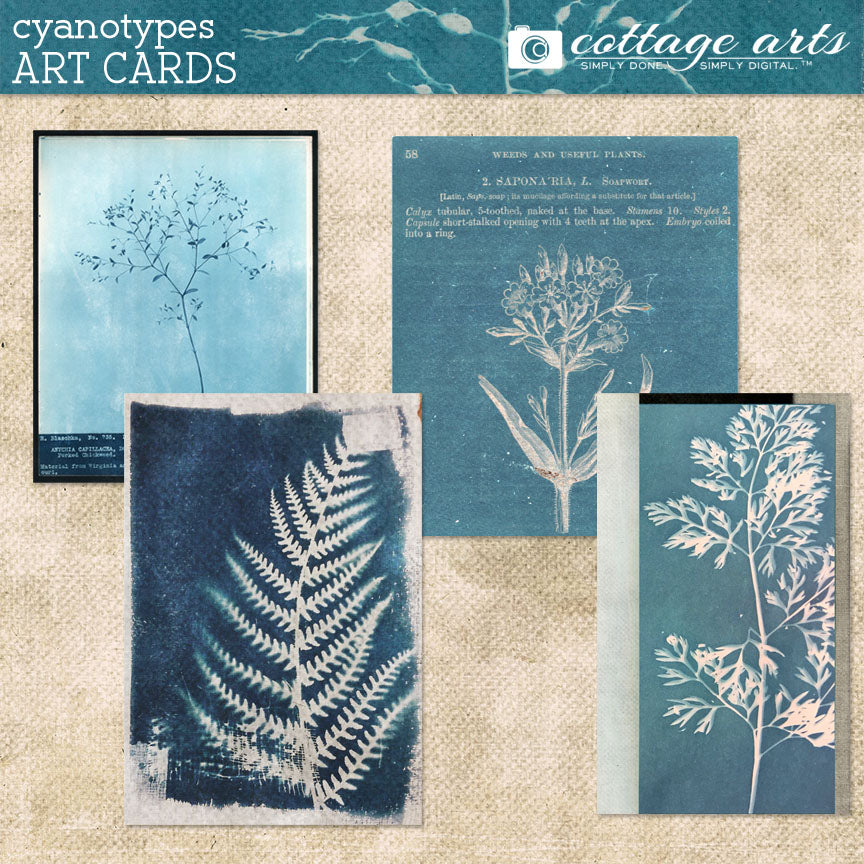 Cyanotypes Art Cards