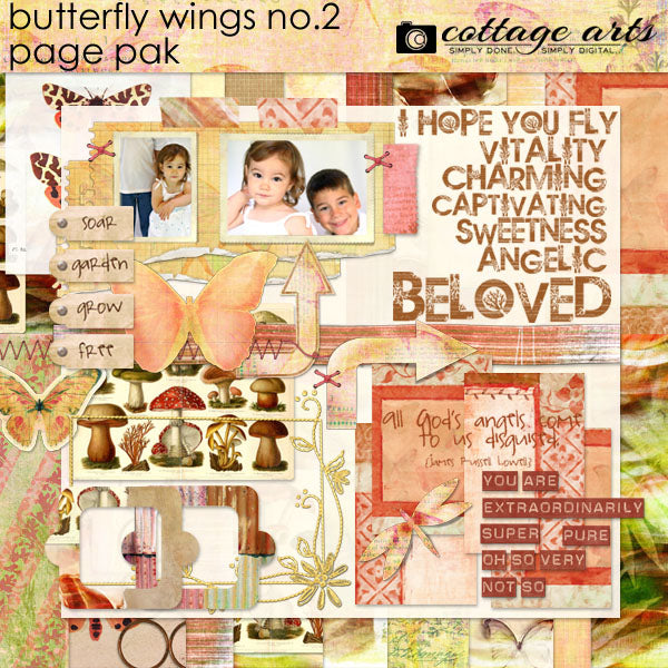 Butterfly Wings 2 Page Pak