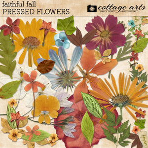Faithful Fall Pressed Flowers