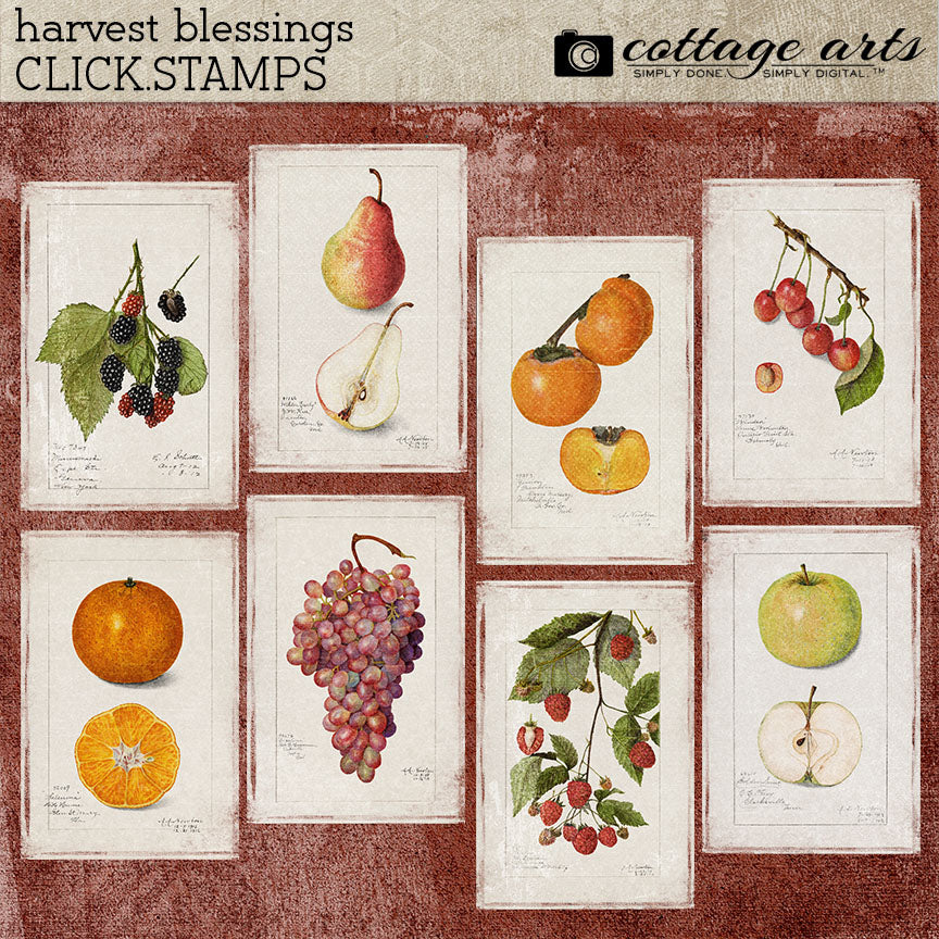 Harvest Blessings Click.Stamps