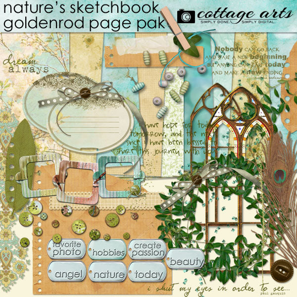 Nature's Sketchbook - Goldenrod Page Pak
