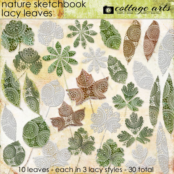 Nature's Sketchbook - Lacy Leaves