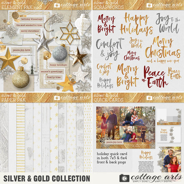 Silver and Gold Paper Pak