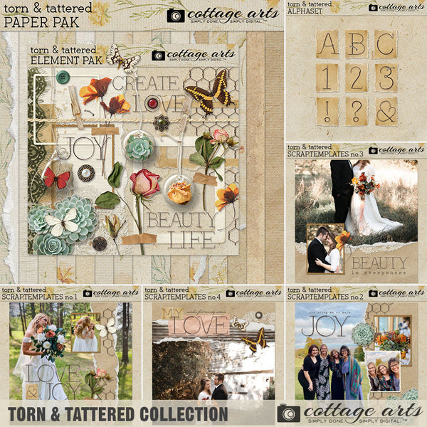 Torn & Tattered Collection