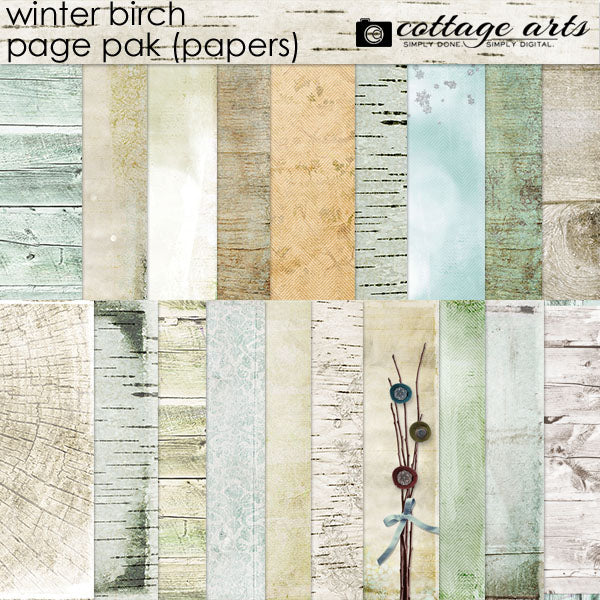Winter Birch Collection