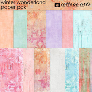 Winter Wonderland Paper Pak