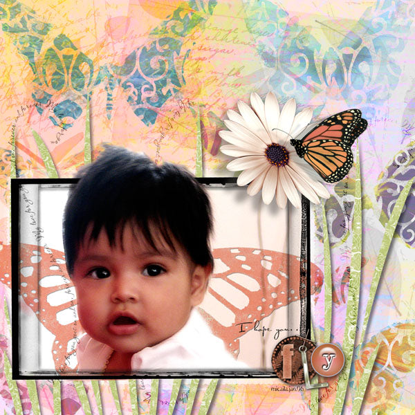 Butterfly Wings 1 Page Pak