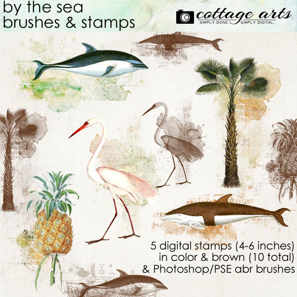 By the Sea Brushes & Stamps