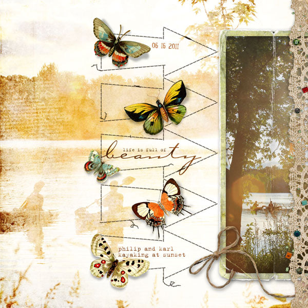Butterfly Wings 5 Paper Pak