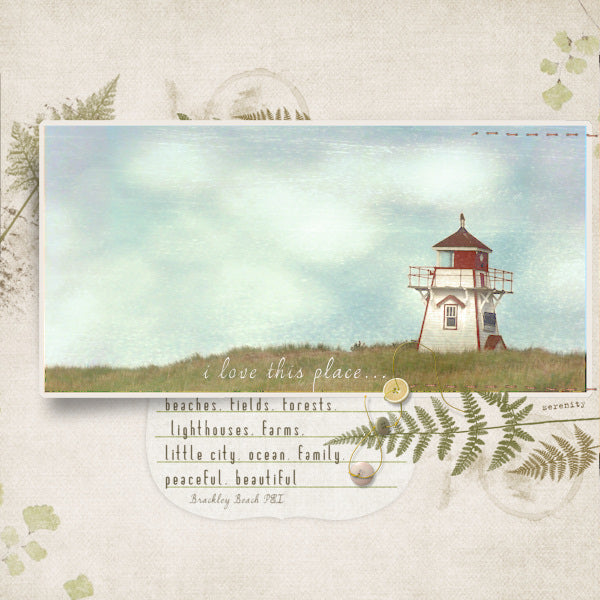Feathered Ferns Brushes & Stamps